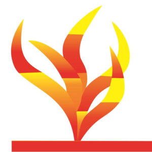 Bharatiya Vichar Manch Logo